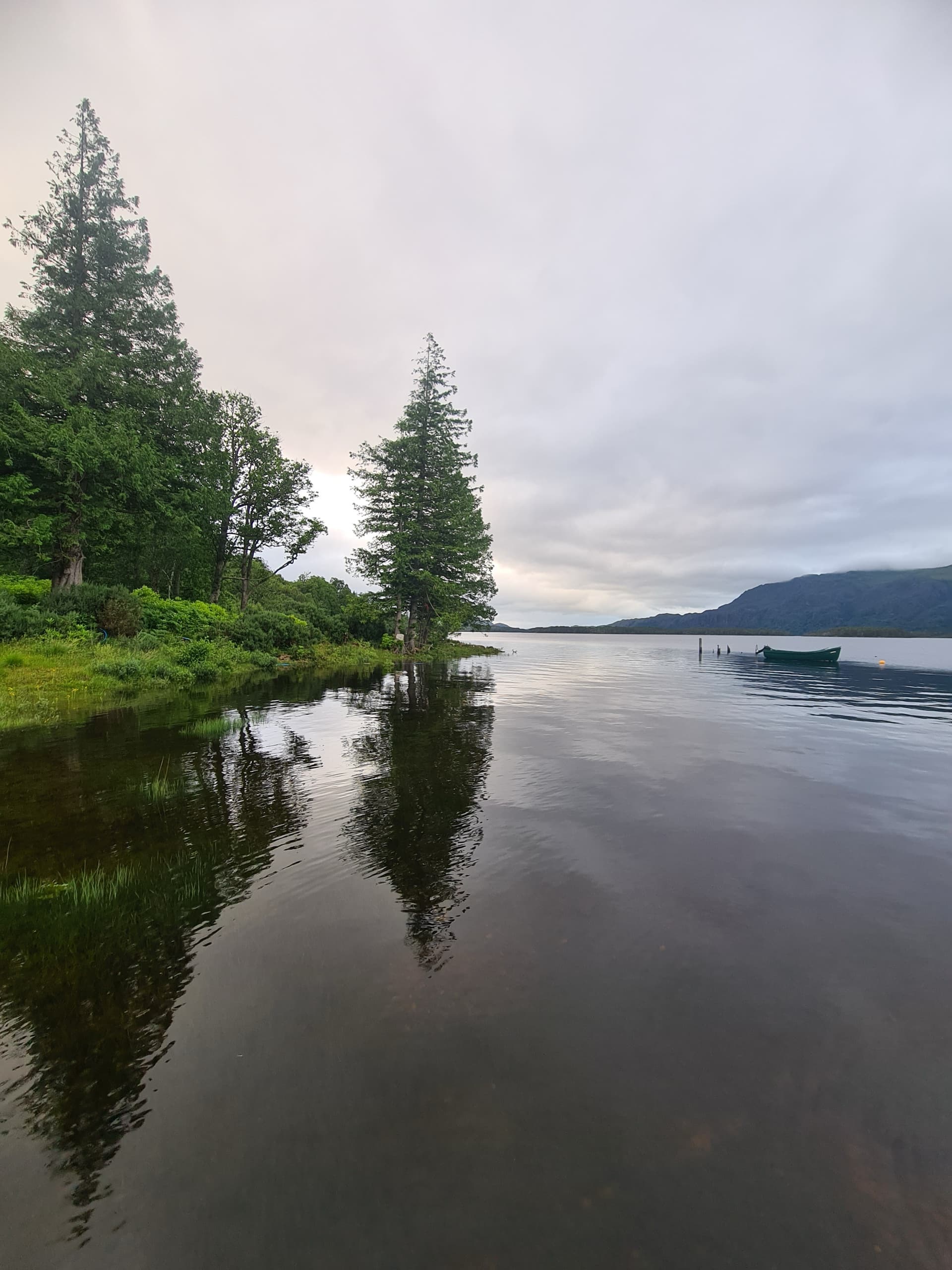 Calm loch with pine trees and reflections under a cloudy sky
