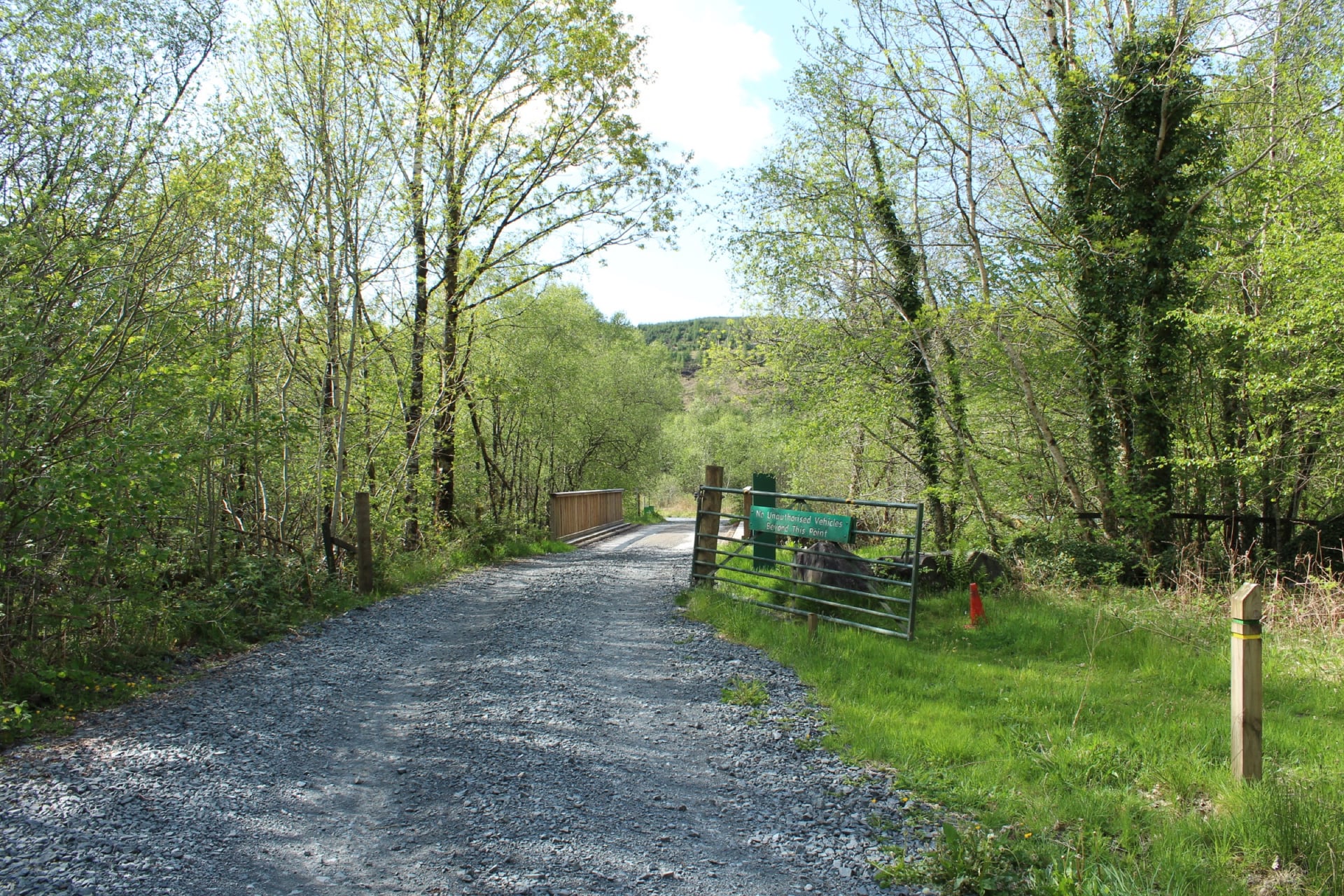 Gravel path through spring forest with green trees and metal gate